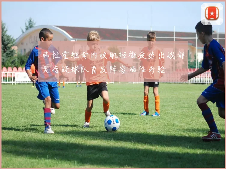 弗拉霍维奇内收肌轻微疲劳出战都灵存疑球队首发阵容面临考验